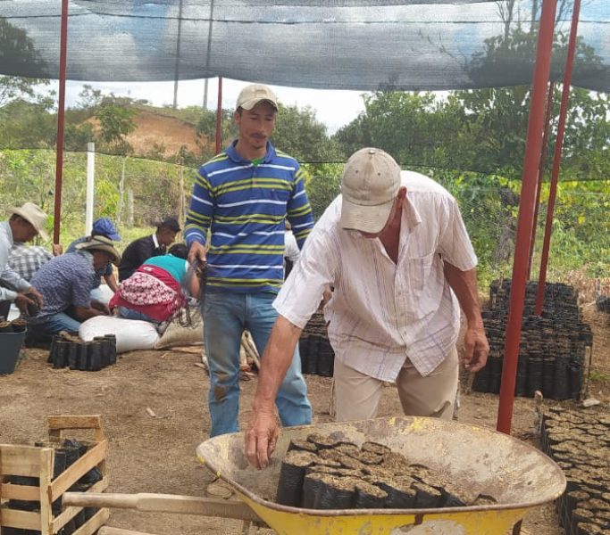 Asociación (1)