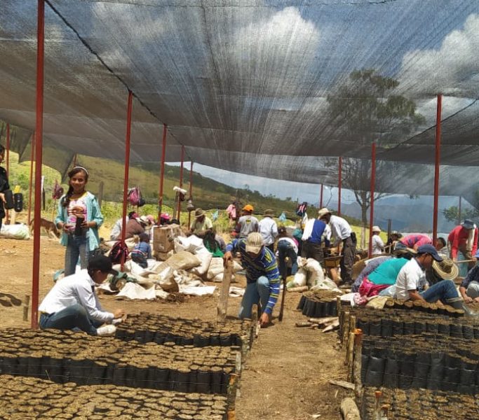 Asociación (3)